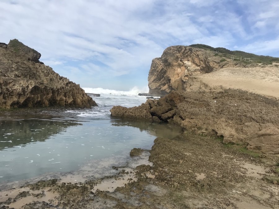 0 Bedroom Property for Sale in Cove Rock Eastern Cape